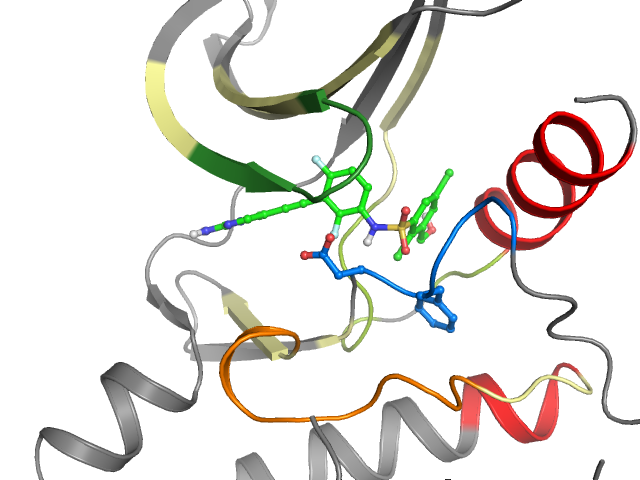 The orthosteric binding pocket