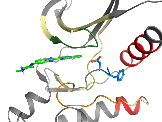 The orthosteric binding pocket