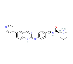 2D structure of the orthosteric ligand