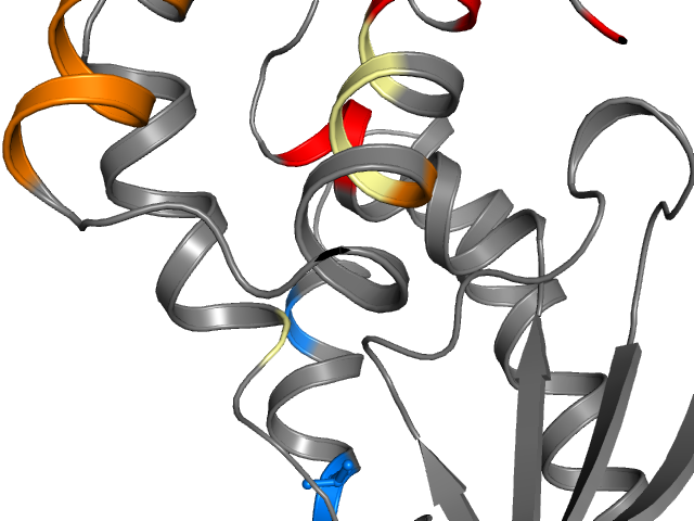 The orthosteric binding pocket