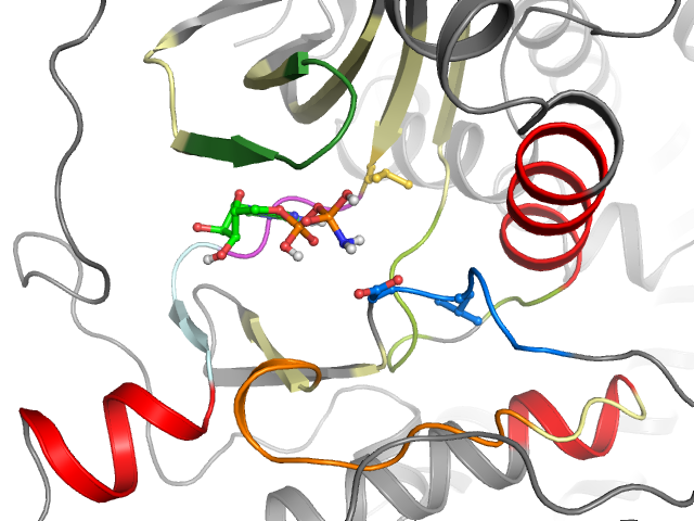 The orthosteric binding pocket