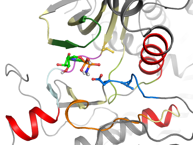 The orthosteric binding pocket
