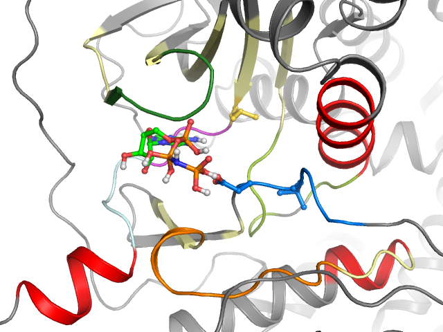 The orthosteric binding pocket