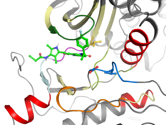 The orthosteric binding pocket