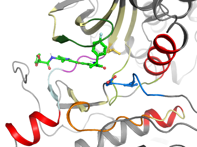 The orthosteric binding pocket