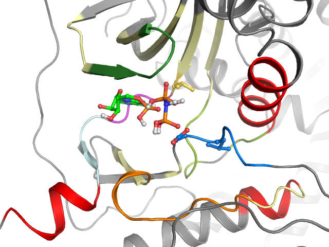 The orthosteric binding pocket