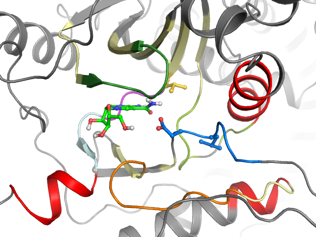 The orthosteric binding pocket