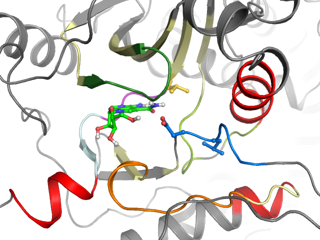The orthosteric binding pocket