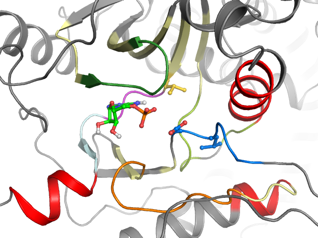 The orthosteric binding pocket