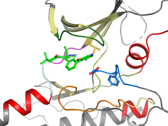 The orthosteric binding pocket