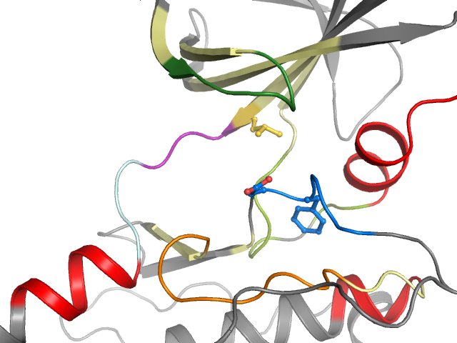 The orthosteric binding pocket