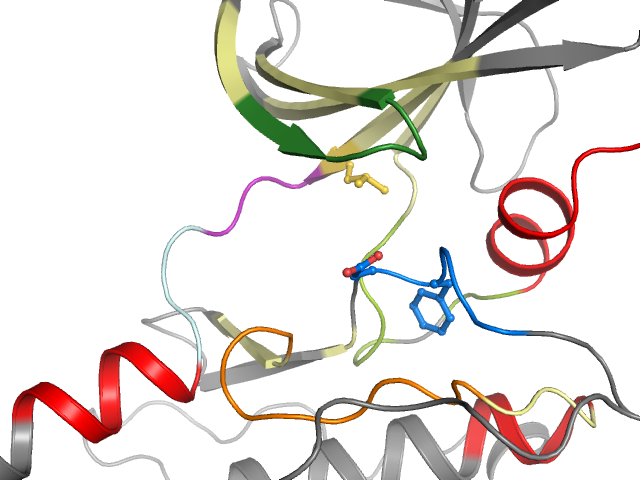 The orthosteric binding pocket