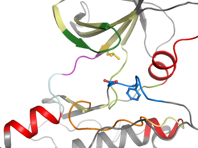 The orthosteric binding pocket