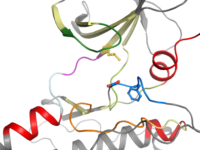 The orthosteric binding pocket