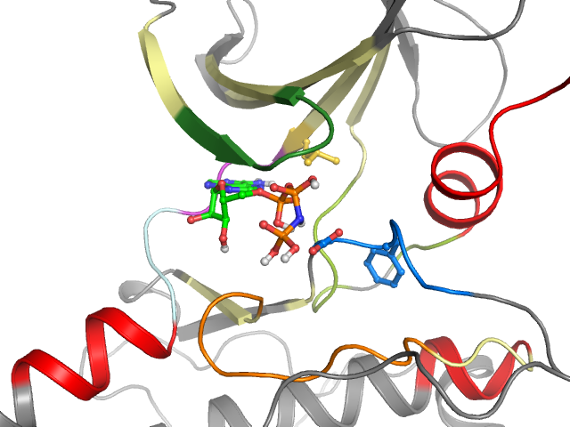 The orthosteric binding pocket