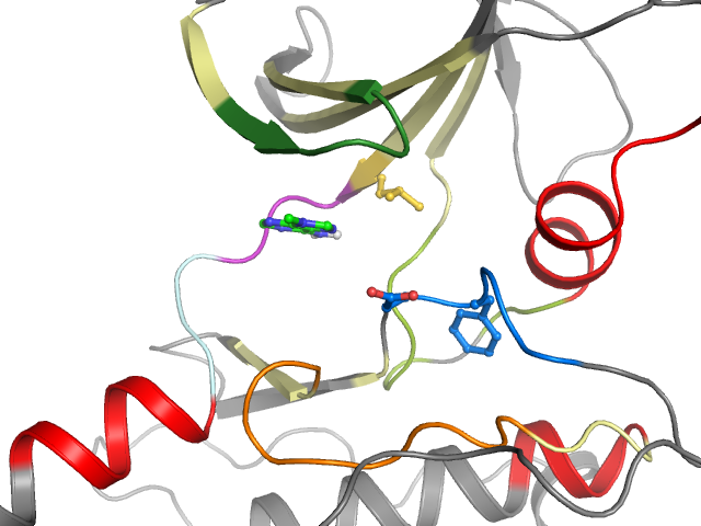 The orthosteric binding pocket