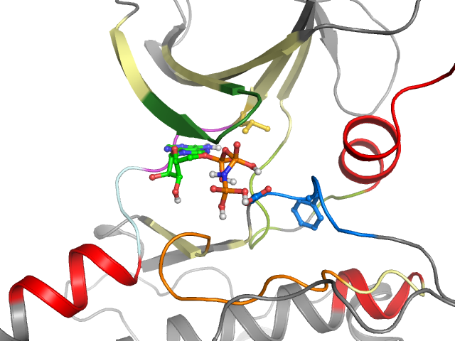 The orthosteric binding pocket
