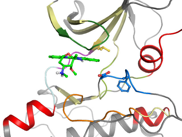 The orthosteric binding pocket