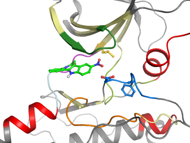 The orthosteric binding pocket