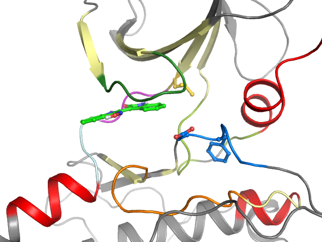 The orthosteric binding pocket