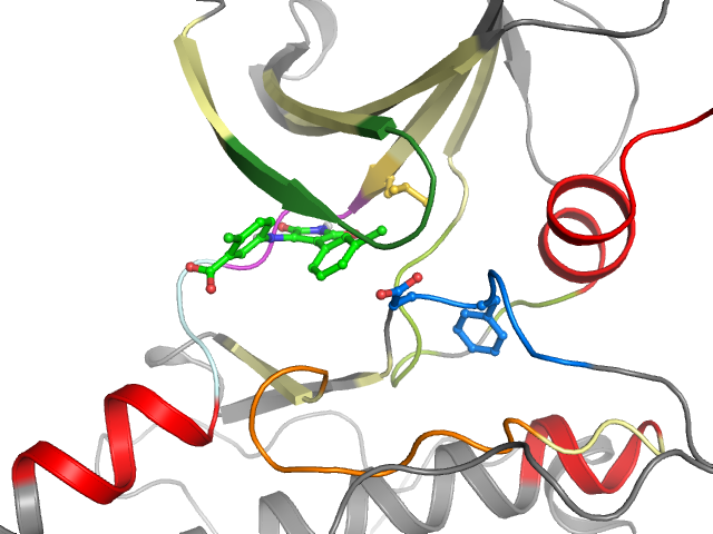 The orthosteric binding pocket