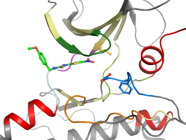The orthosteric binding pocket