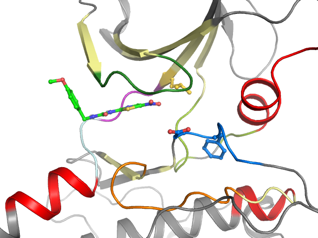 The orthosteric binding pocket