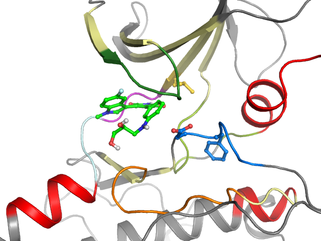 The orthosteric binding pocket
