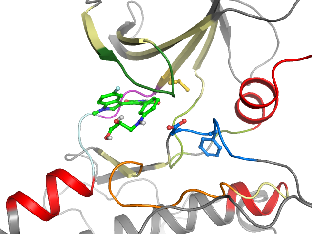 The orthosteric binding pocket