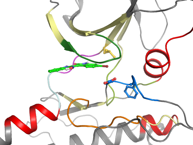 The orthosteric binding pocket