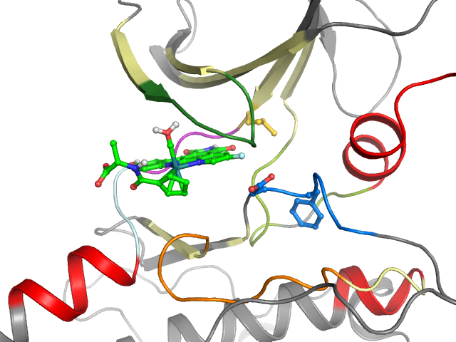 The orthosteric binding pocket
