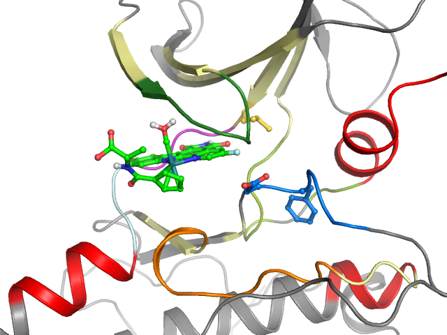 The orthosteric binding pocket