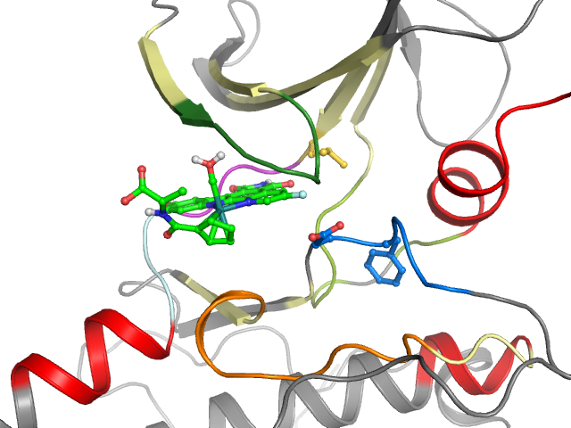 The orthosteric binding pocket
