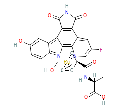 2D structure of the orthosteric ligand
