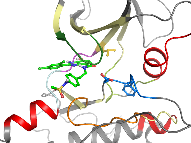 The orthosteric binding pocket