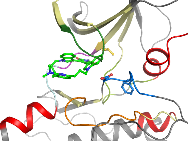 The orthosteric binding pocket