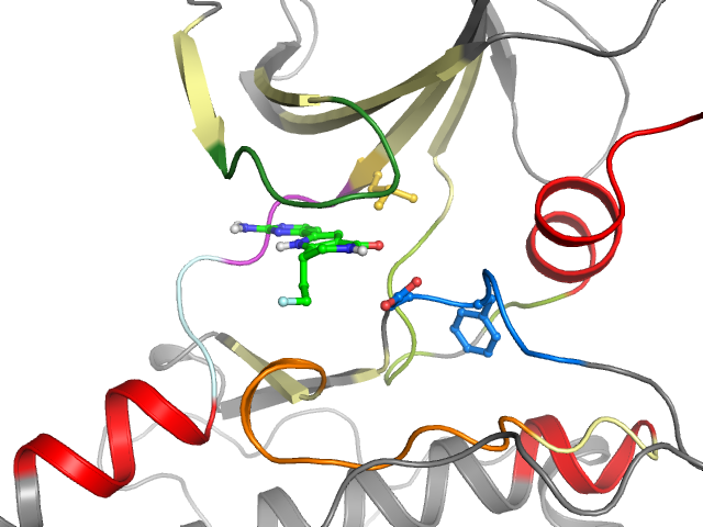The orthosteric binding pocket