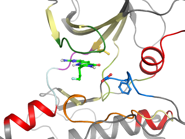The orthosteric binding pocket