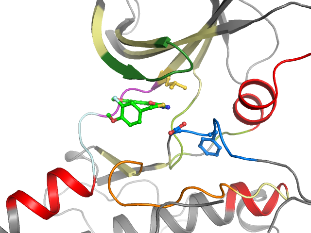 The orthosteric binding pocket