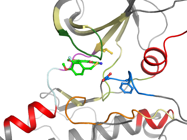 The orthosteric binding pocket