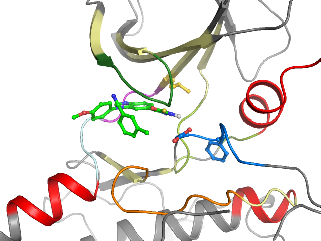 The orthosteric binding pocket