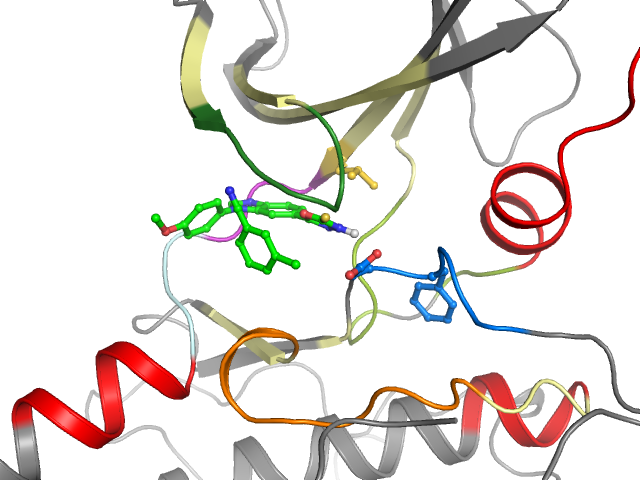 The orthosteric binding pocket