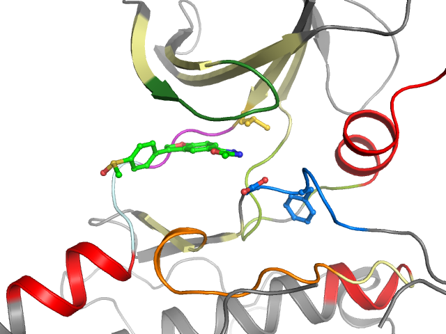 The orthosteric binding pocket
