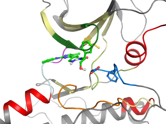 The orthosteric binding pocket