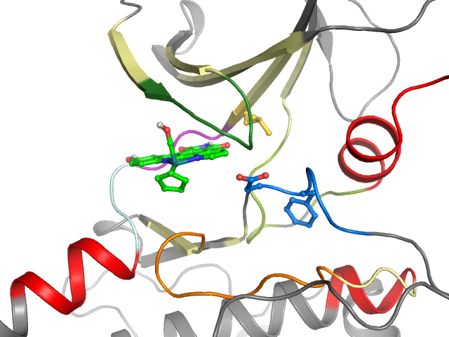 The orthosteric binding pocket