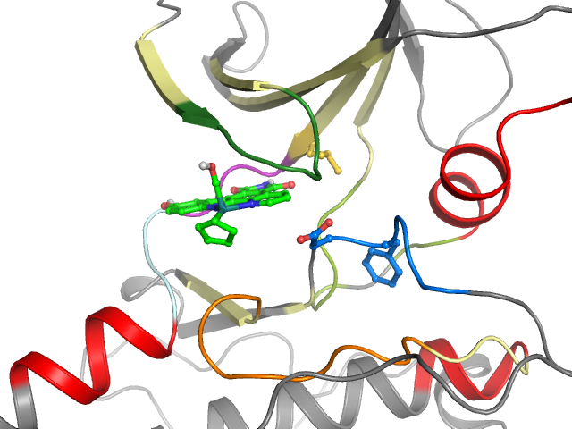 The orthosteric binding pocket