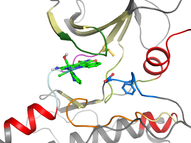 The orthosteric binding pocket
