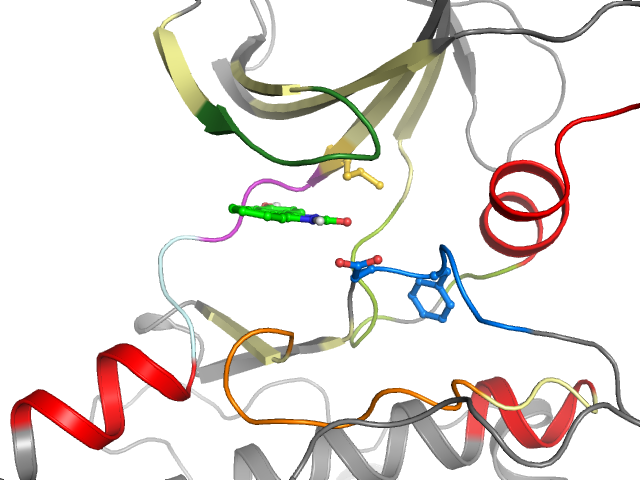 The orthosteric binding pocket