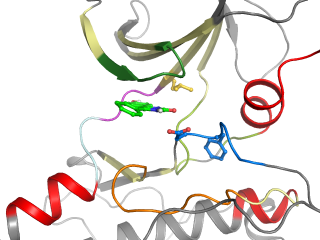 The orthosteric binding pocket