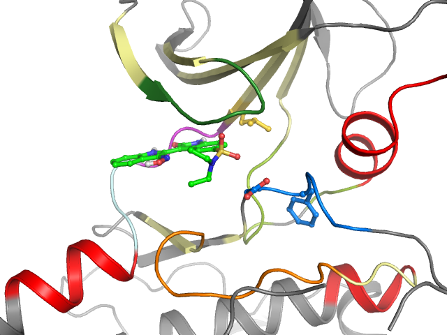 The orthosteric binding pocket